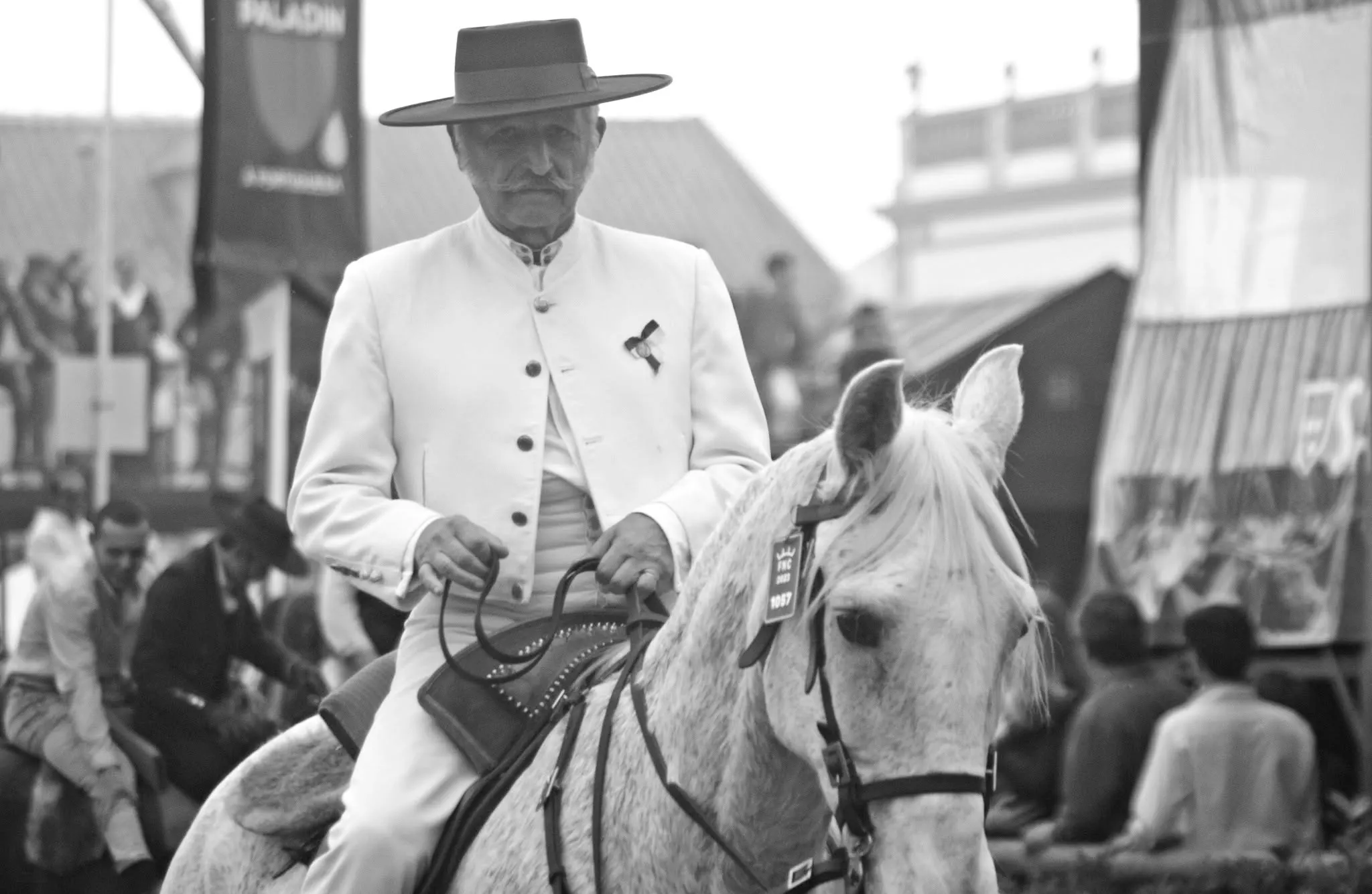 O cavaleiro. Fotografia de Manuel Tavares da Silva.