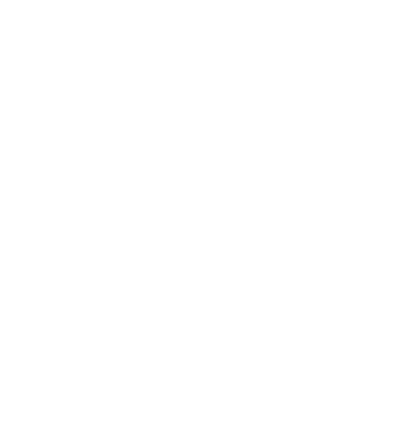 Manuel Tavares da Silva, retrato desenhado em linhas brancas